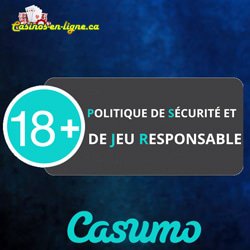politique-securite-jeu-responsable-site