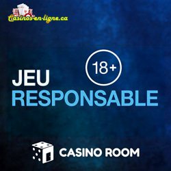 politique-securite-jeu-responsable-site