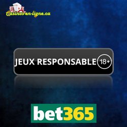 politique-securite-jeux-responsable-site